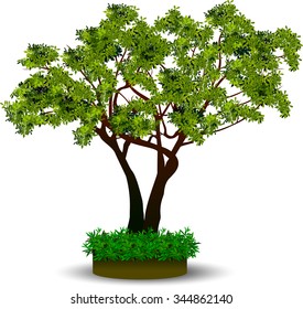 Set silhouettes of trees and leaf , Engraved tree. Vector illustration of a fruit  in vintage engraving 