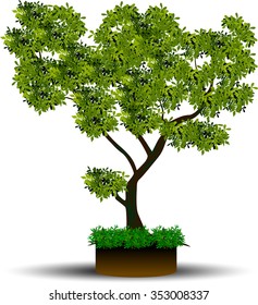 Set silhouettes of trees and leaf , Engraved tree. Vector illustration of a fruit  in vintage engraving 