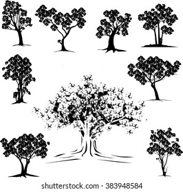 Set silhouettes of trees and leaf , Engraved tree. Vector illustration of a fruit  in vintage engraving 
