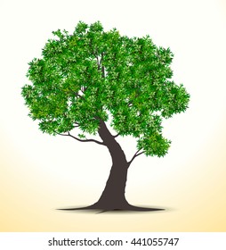Set silhouettes of trees and leaf , Engraved tree. Vector illustration of a fruit  in vintage engraving 