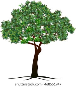 Set silhouettes of trees and leaf , Engraved tree. Vector illustration of a fruit  in vintage engraving 