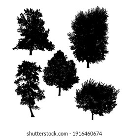 Set of silhouettes of trees on white background.