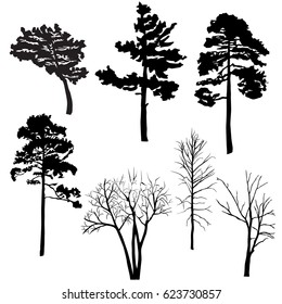 Set of silhouettes of trees, pine, birch, oak, black color, isolated on white