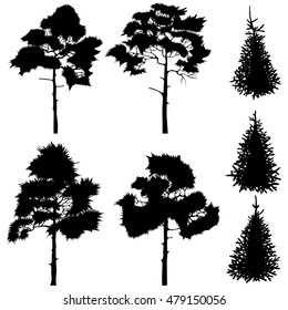 Set of silhouettes of trees pine and fir.
