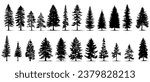 set of silhouettes of trees. pine trees isolated images. spruce tree illustration for winter christmas. eps 10