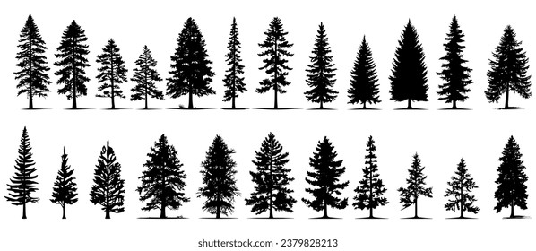 set of silhouettes of trees. pine trees isolated images. spruce tree illustration for winter christmas. eps 10