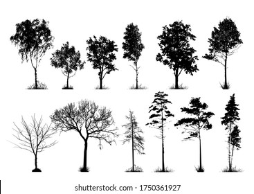 A set of silhouettes of trees. Vector illustration