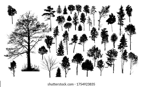 A set of silhouettes of trees. Vector illustration