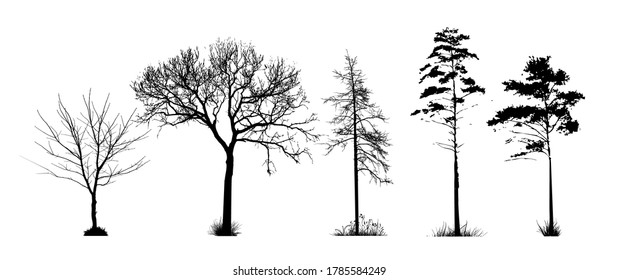 A set of silhouettes of trees. Vector illustration