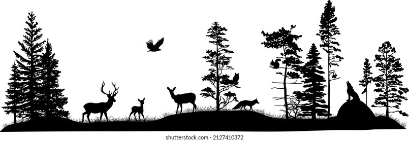 Set silhouettes trees   wild forest animals  Deer  fawn  doe  fox  wolf  owl  bird pray  squirrel  Black   white hand drawn illustration  