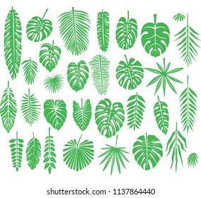 Set of silhouettes Tropical Leaves