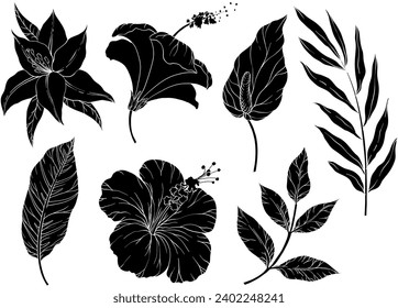 Set of Silhouettes of tropical leaves.