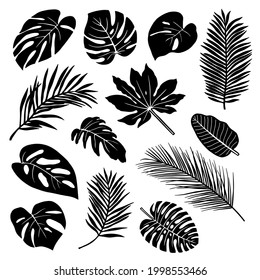 Set of silhouettes of tropical leaves isolated on white background.