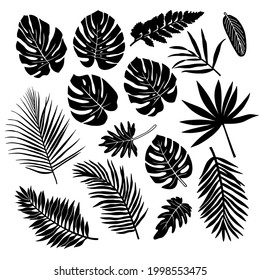 Set of silhouettes of tropical leaves isolated on white background.