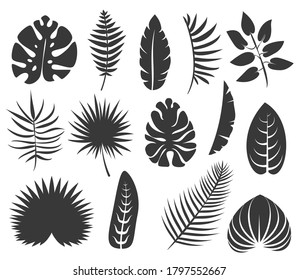 Set silhouettes of tropical leaves in monochrome vintage style. Minimalistic vector elements isolated on white background.