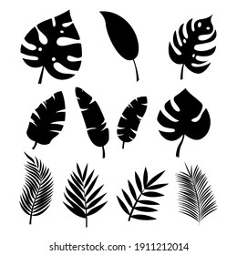 Set of silhouettes of tropical leaves  palms  trees vector