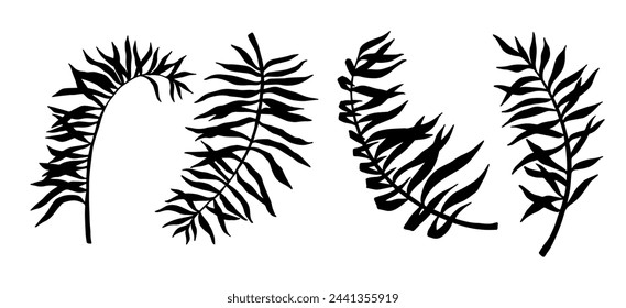 Set of silhouettes of tropical leaves.Vector graphics.