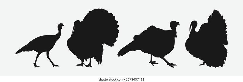 set of silhouettes of turkey with different poses, gestures. isolated on white background. vector illustration.