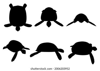 Set with silhouettes of a turtle in various positions isolated on a white background. Vector illustration