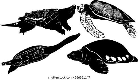 set of silhouettes of turtles isolated on white background