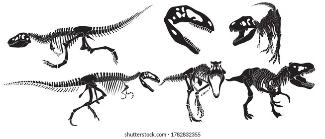 Set of silhouettes of tyrannosaurus rex dinosaur in different poses in isolate on a white background. Vector illustration.