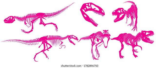 Set of silhouettes of tyrannosaurus rex dinosaur in different poses in isolate on a white background. Vector illustration.