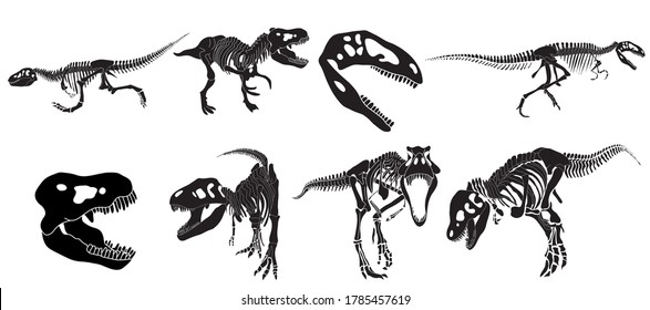 Set of silhouettes of tyrannosaurus rex dinosaur in different poses in isolate on a white background. Vector illustration.