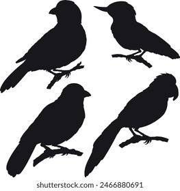 Set of silhouettes of various birds types