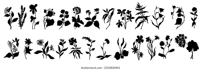 Set of silhouettes of various plants, wild herbs, berries, leaves. Vector graphics.