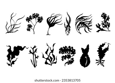 Set of silhouettes of various seaweeds.Vector graphics.