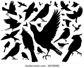 Set of silhouettes of various small birds. Some of them fly, and others sit.