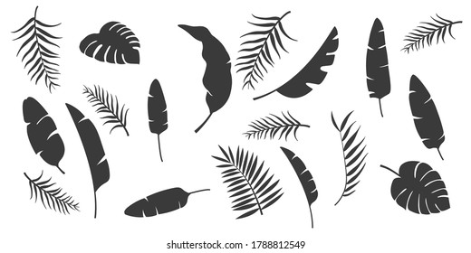 Establecer siluetas de hojas vectoriales. Colección de hojas monocromáticas tropicales aisladas en el fondo blanco.  Palm, palmera de abanico, monstera, plátano. Ilustración en colores blanco y negro. 