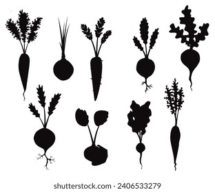 Conjunto de siluetas de verduras. remolacha, zanahoria, remolacha, nabo, maíz.