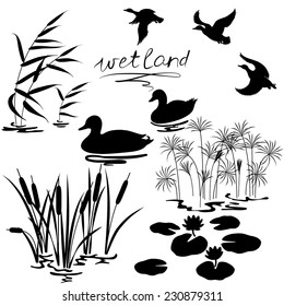 Set of silhouettes of water plants and ducks. 