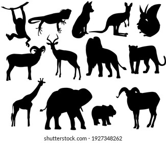 Set of silhouettes of wild animals, zoo.