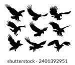 Set silhouettes of wild eagles in flight.
