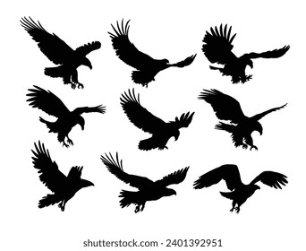 Set silhouettes of wild eagles in flight.
