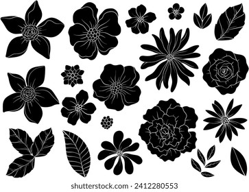 Set of Silhouettes of wild flowers. Hand drawn botanical elements, small flowers and leaves. Vector illustration.