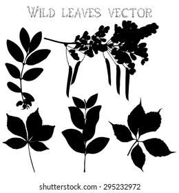 Set of silhouettes of wild flowers and leaves on a white background vector