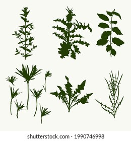 A set of silhouettes of wild forest grasses