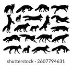 The set silhouettes of wild foxes.
