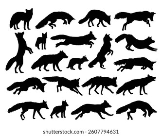 The set silhouettes of wild foxes.
