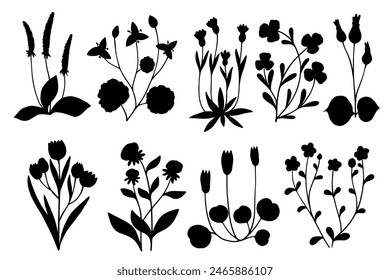Set of silhouettes of wild meadow herbs, wildflowers, medicinal plants.Vector graphics.