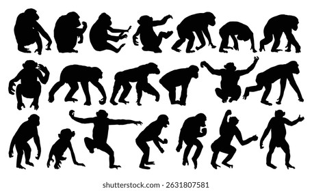 Set silhouettes of wild monkeys.
