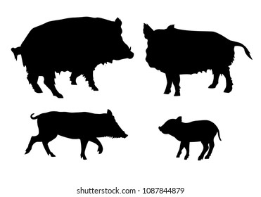 Sow Pig Images, Stock Photos & Vectors | Shutterstock