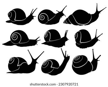 The set silhouettes of wild snails.
