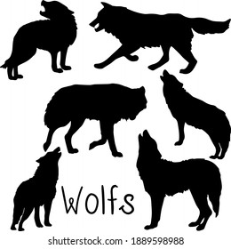 Satz von Wolfen in verschiedenen Positionen, Vektorgrafik