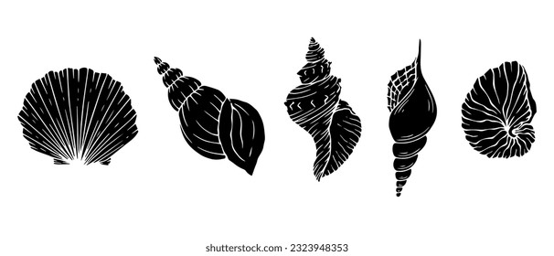 Set of silhouettes,doodles of seashells shells. Vector graphics.