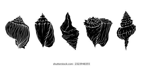 Set of silhouettes,doodles of seashells shells. Vector graphics.