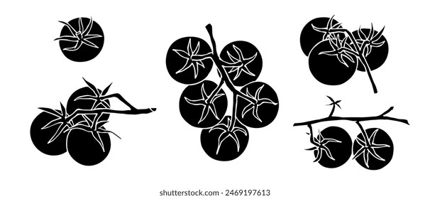 Conjunto de siluetas, garabatos de tomate. Vector gráfico.